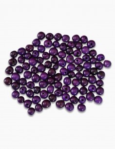 Semilla Asai Morado