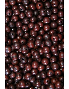 Semilla Asai Marron 2