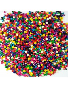 semilla achira multicolor 1